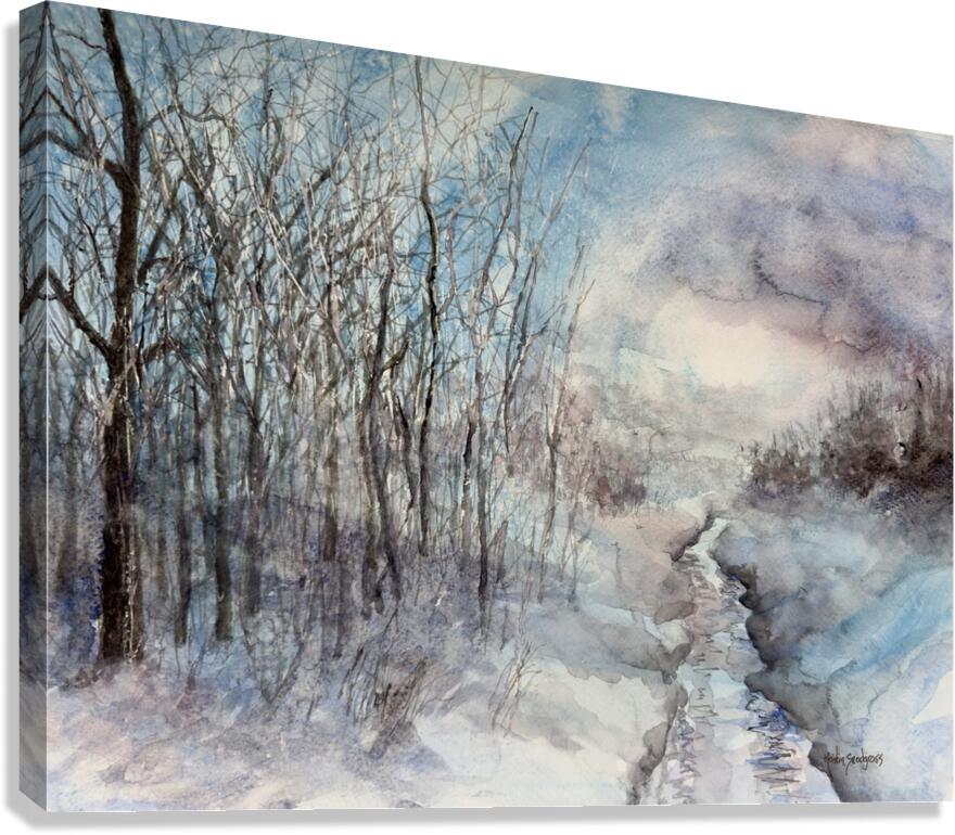 Winter Brook