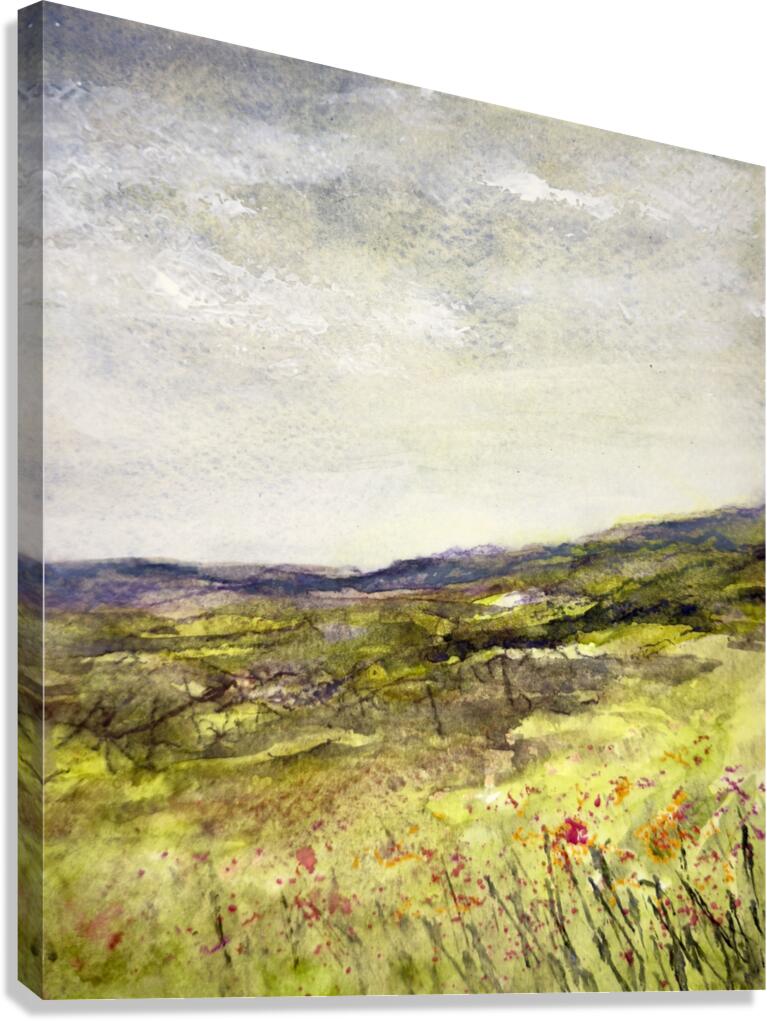 Landscape  1