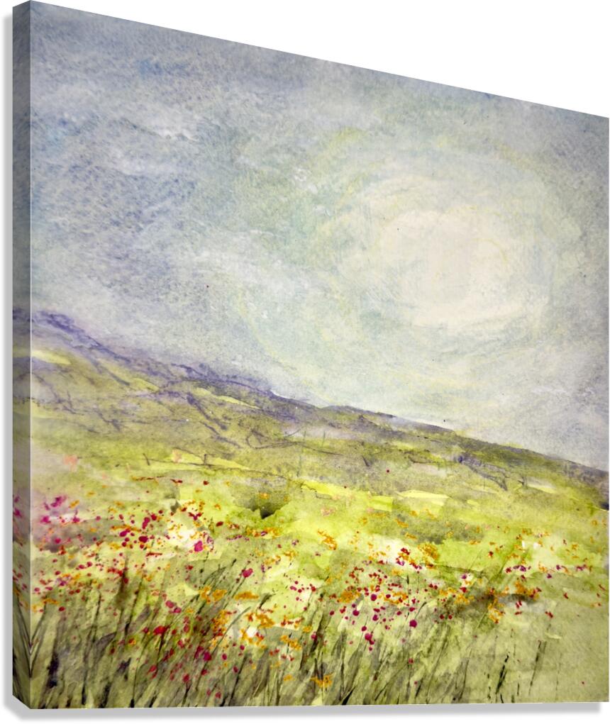 Landscape  2