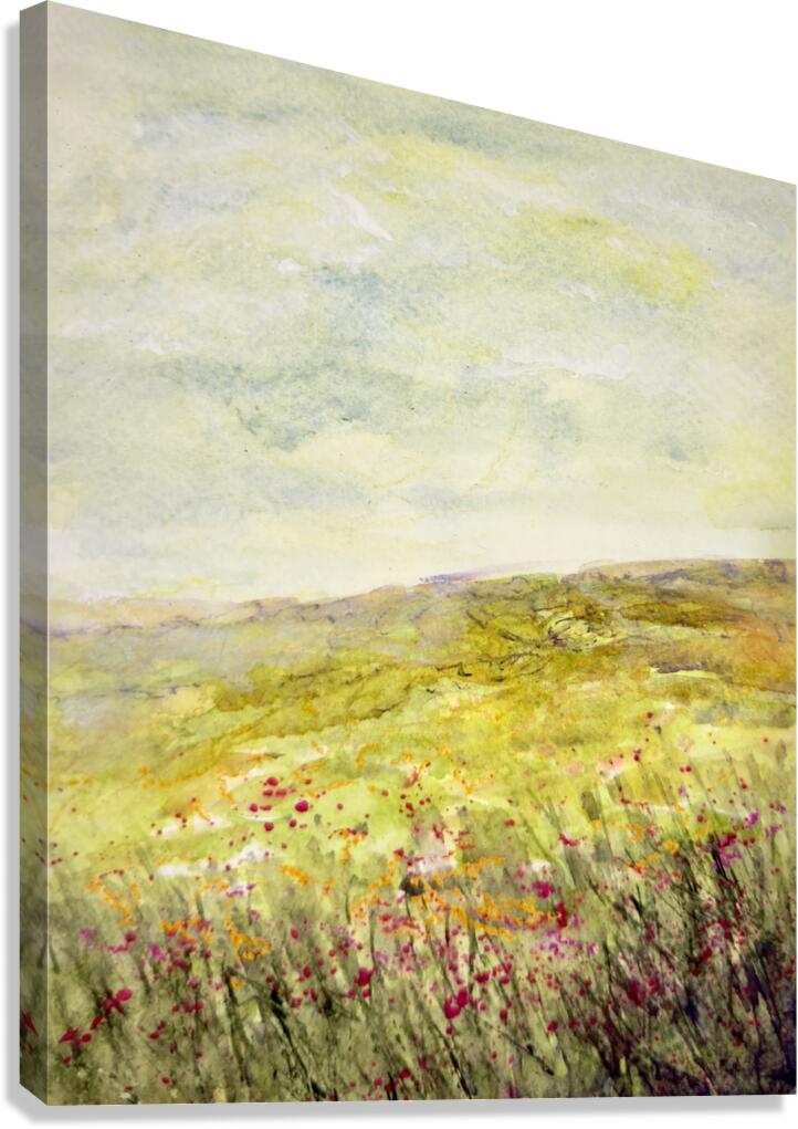 Landscape  3