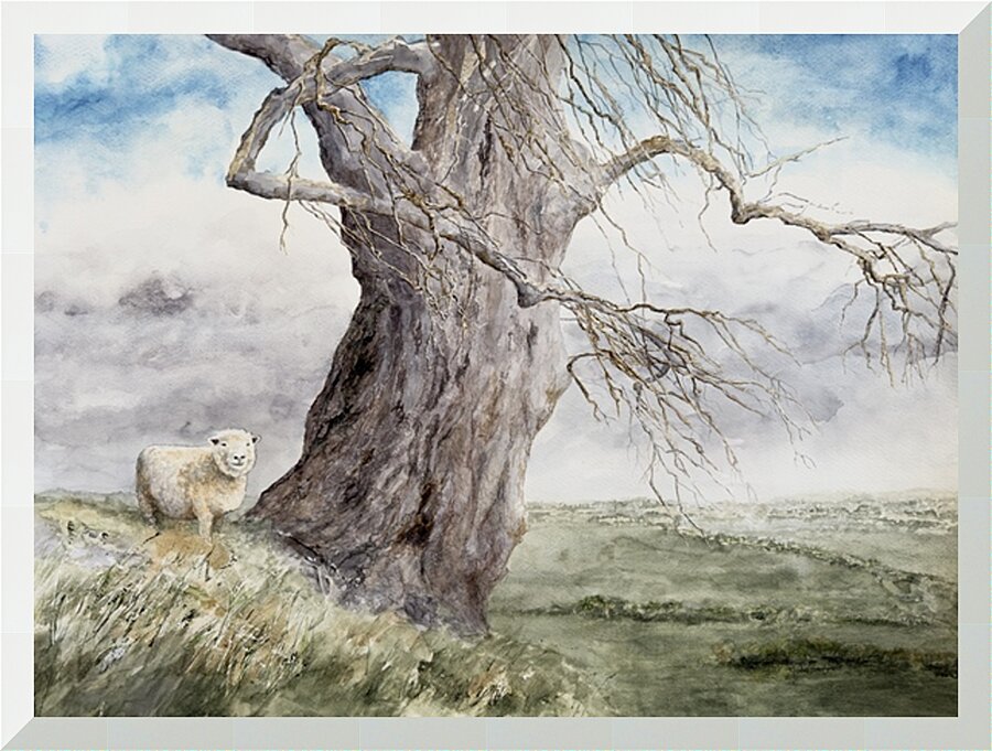  Fine Art print