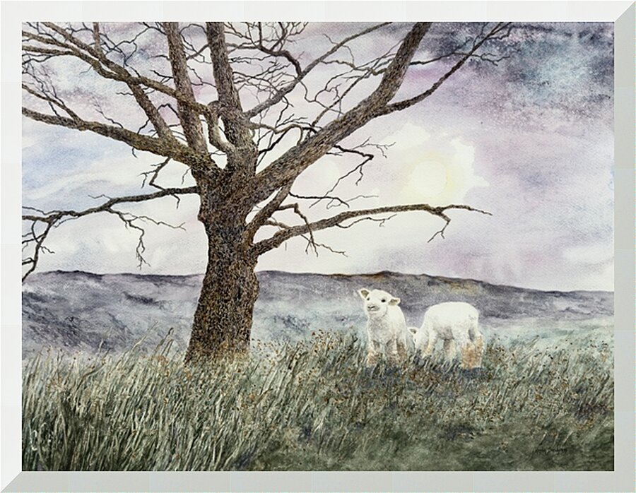  Fine Art print