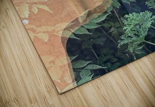 Working with the Shadow ME Brannon puzzle