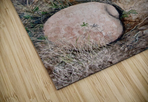 Rock and Shadow ME Brannon puzzle