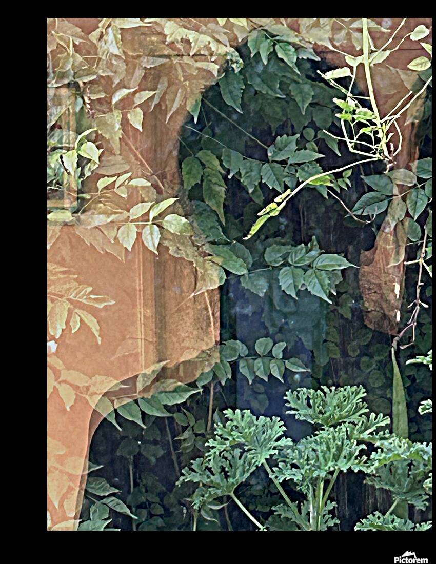 Working with the Shadow Reproduction