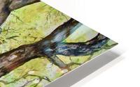Dancing Trees HD Metal print