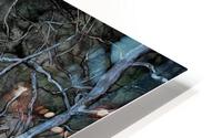 Clio Looking for Wild Things HD Metal print