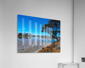 Australian drought Acrylic Print