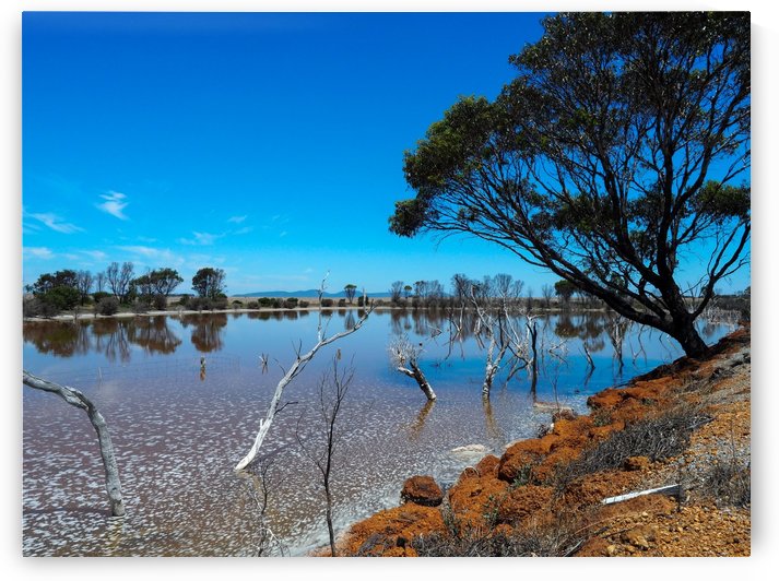 Australian drought by Skyeleaf