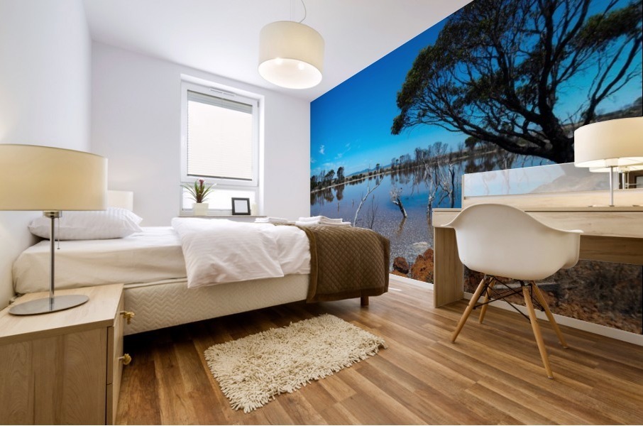 Australian drought Mural print