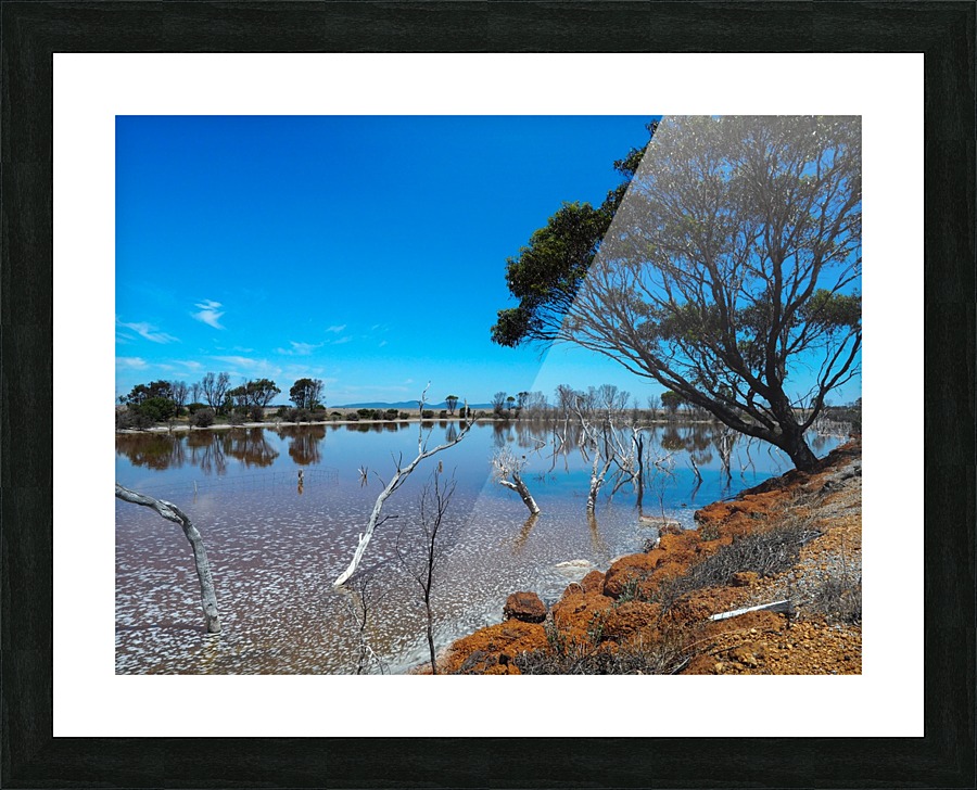 Australian drought Picture Frame print