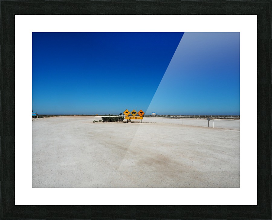 Protecting the wildlife Picture Frame print