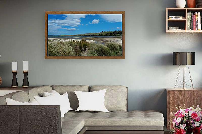 Tasmania Reproduction