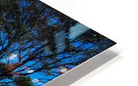 Australian drought HD Metal print