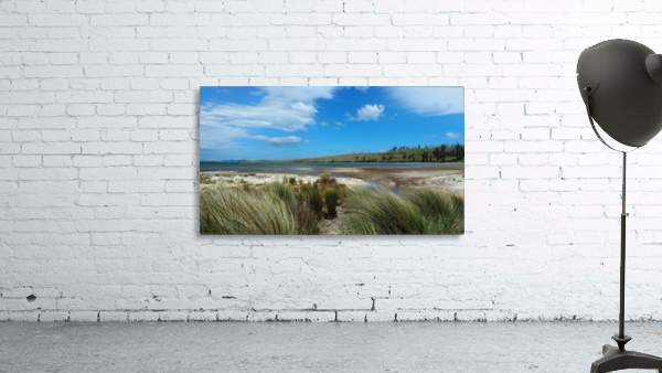 Tasmania Wall Preview