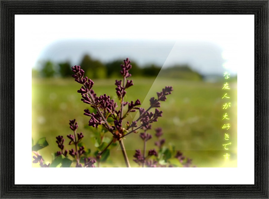 Flowers Picture Frame print