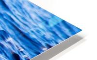 Tern HD Metal print