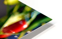 Peppers HD Metal print
