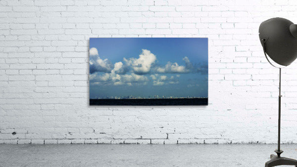 Miami Skyline Wall Preview