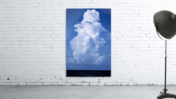 Billowing Wall Preview