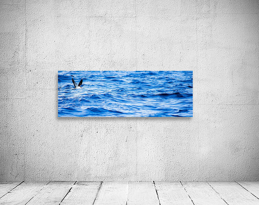 Tern Wall Preview