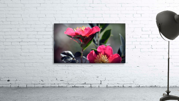 Pink Flowers Wall Preview