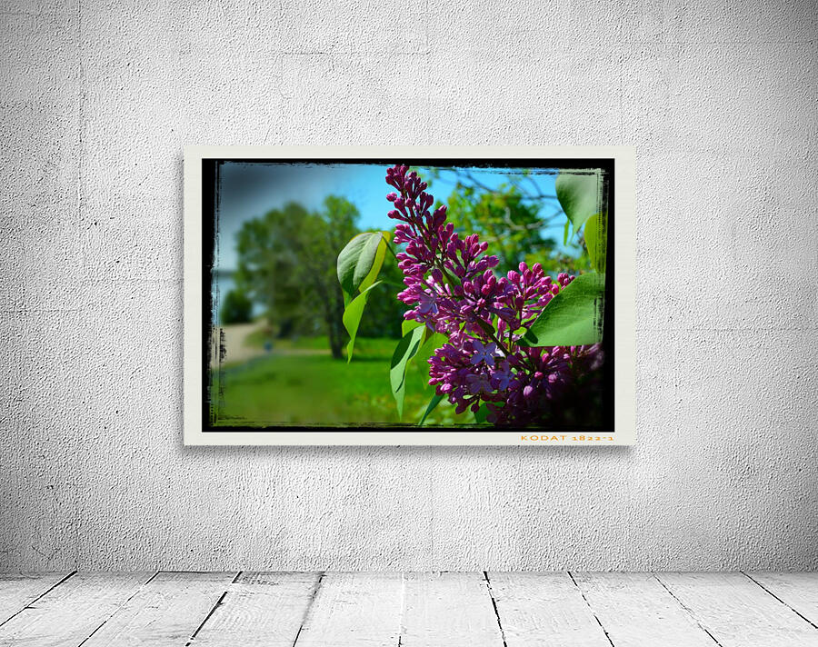 Purple Flowers Wall Preview
