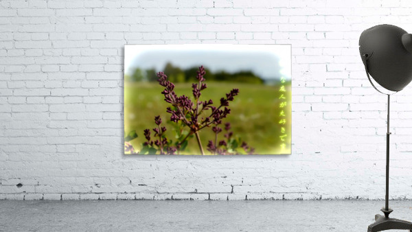 Flowers Wall Preview