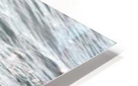 crow dares a young eagle HD Metal print
