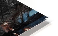 Path 002 HD Metal print