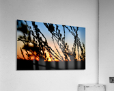 Day’s End Acrylic Print