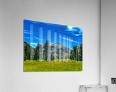 View from the Meadow Acrylic Print