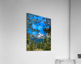 Mountain Through the Trees Acrylic Print