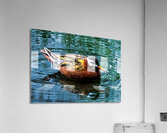 Swimming Bird Acrylic Print
