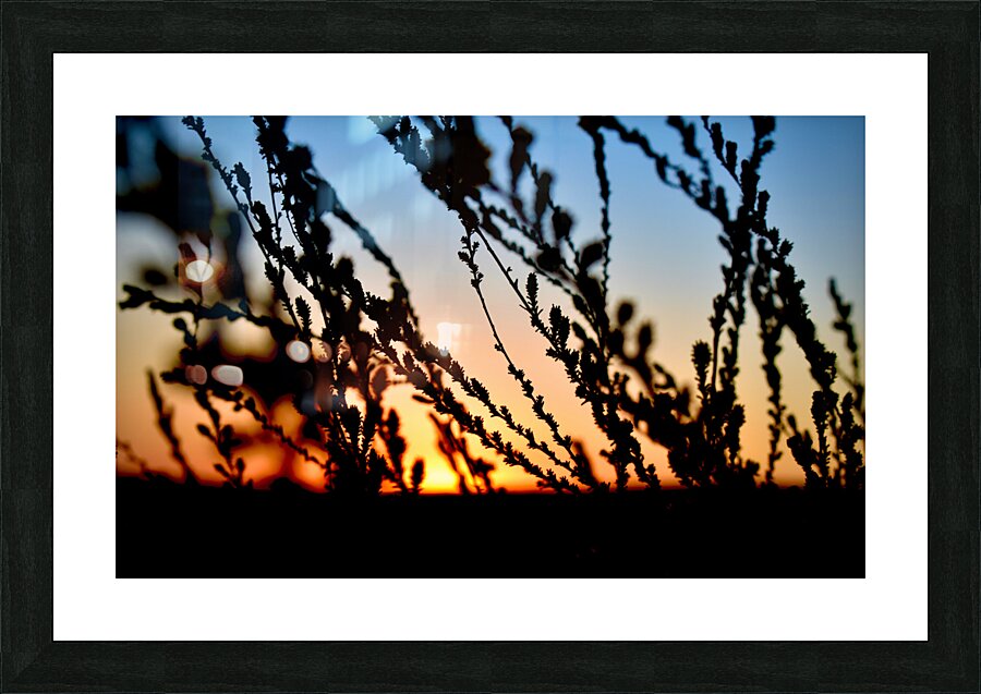 Day’s End Picture Frame print