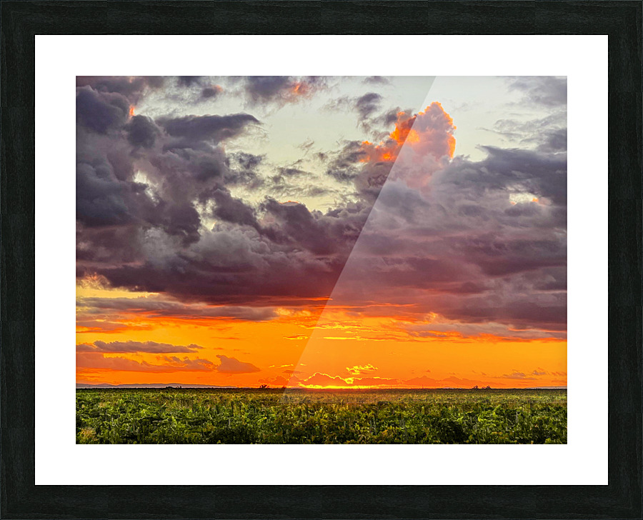 View from the fields Picture Frame print