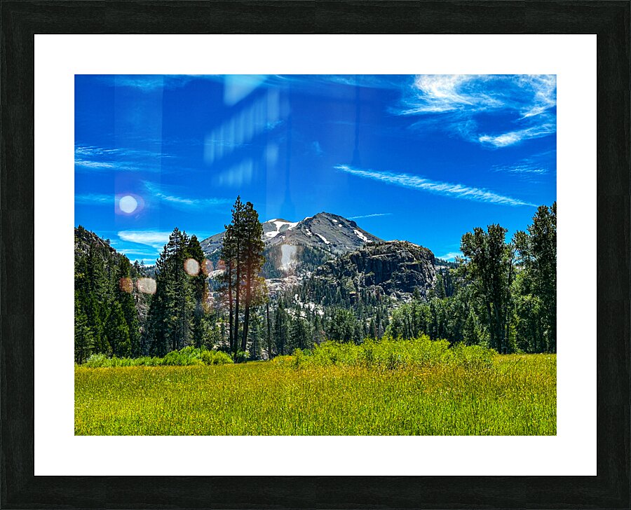 View from the Meadow Picture Frame print
