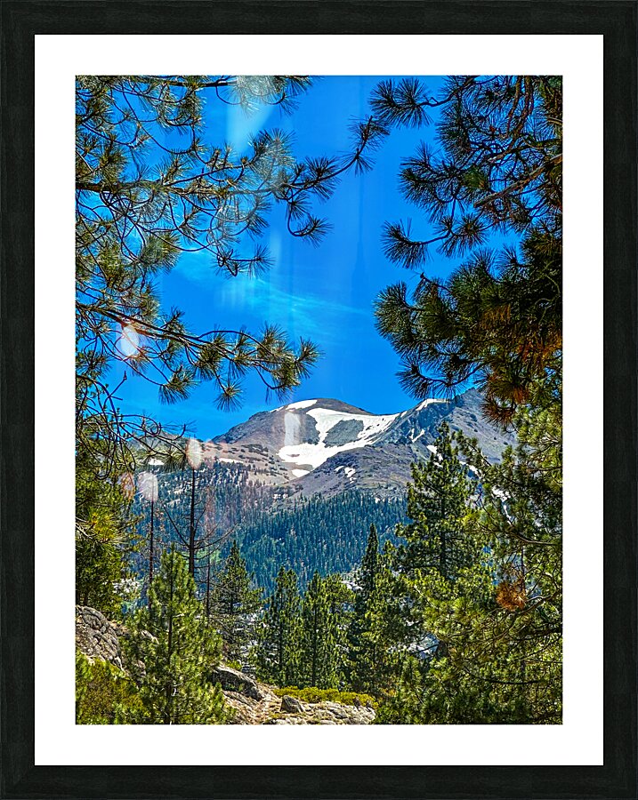 Mountain Through the Trees Picture Frame print