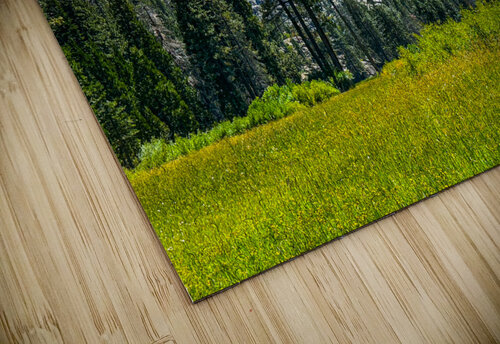 View from the Meadow Benjamin Wright puzzle