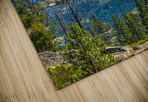 Mountain Through the Trees Benjamin Wright puzzle