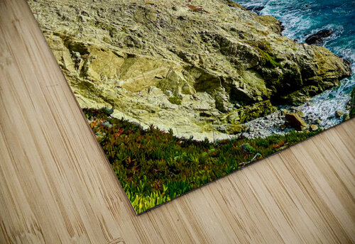 Ocean View Benjamin Wright puzzle