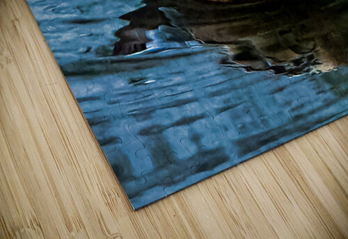 Swimming Bird Benjamin Wright puzzle