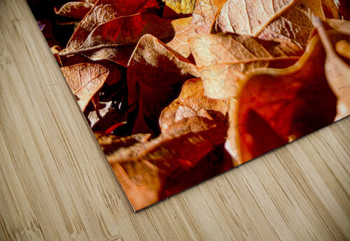 Feather Benjamin Wright puzzle