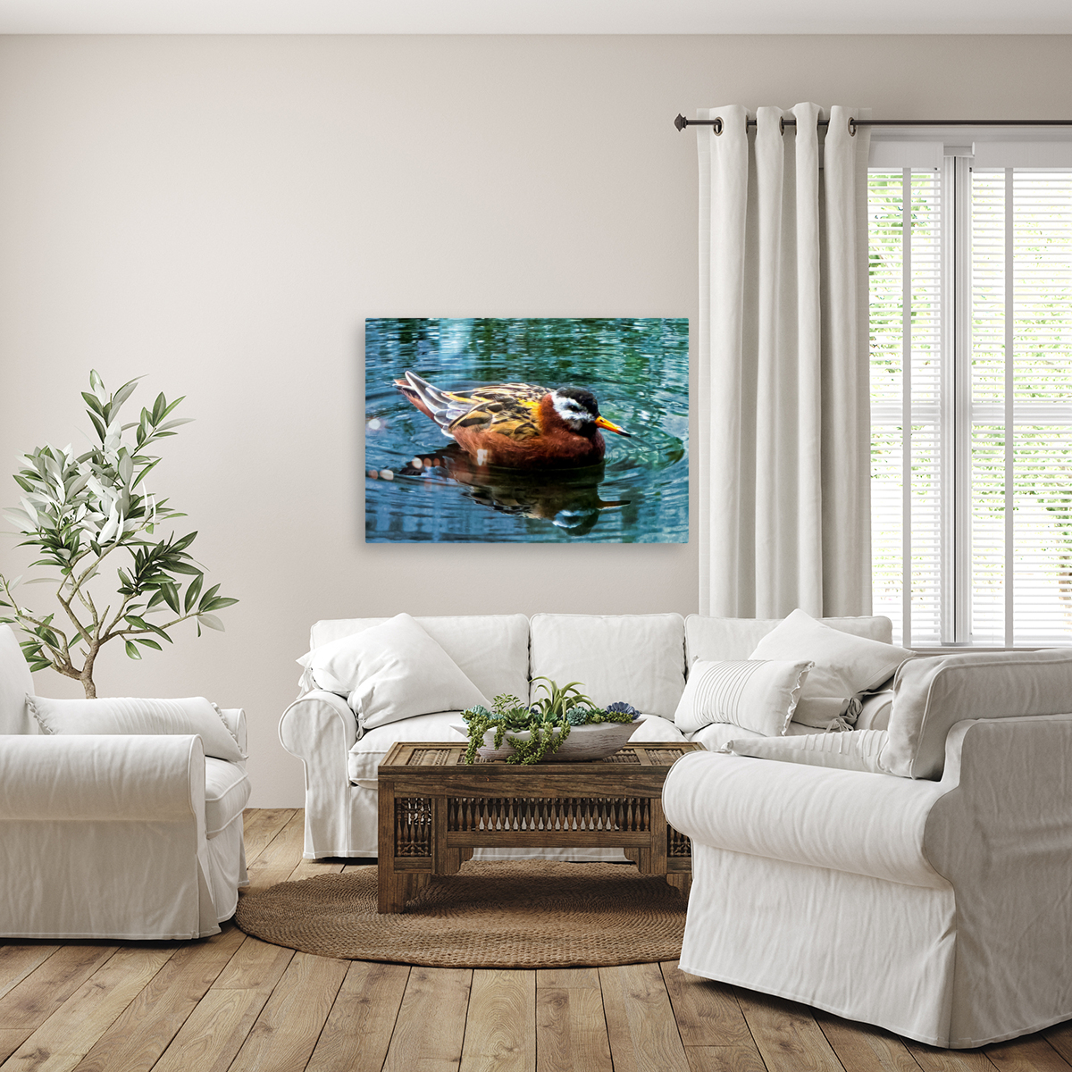Swimming Bird Reproduction