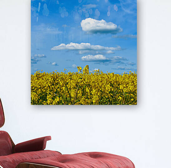 Yellow Fields by Benjamin Wright
