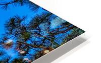 Mountain Through the Trees HD Metal print