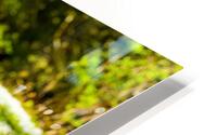 The Meadow HD Metal print
