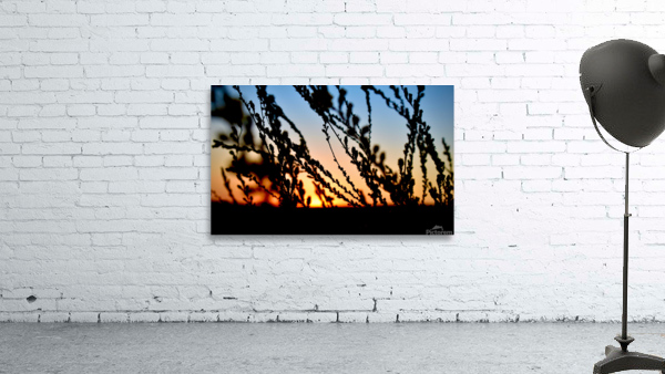 Day’s End Wall Preview
