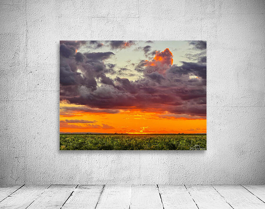 View from the fields Wall Preview