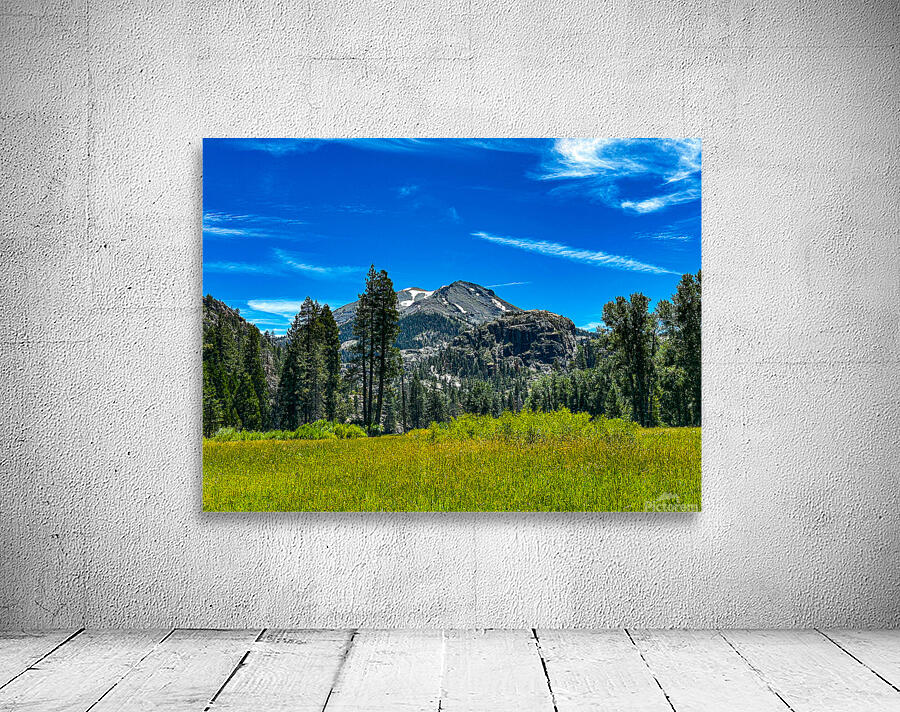 View from the Meadow Wall Preview